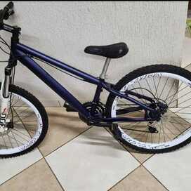 Bike Aro 26 Relíquia